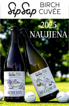 Fermentuota beržų sula